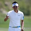 버디텔레콤 이미지