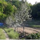 수리농장 이미지