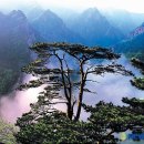 늘푸른꿈 이미지