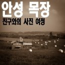 흑성목장 네이버블로그