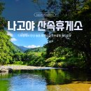 나고야 가는 길 숨은 휴식처｜미치노에키 파스칼 기요미의 계곡 냇가와와 주부공항 동구리 종이집 힐링...