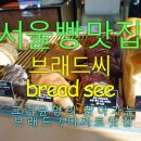 브래드씨 이미지