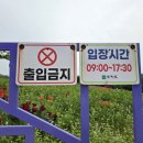 카페청 이미지