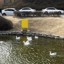 중간고사 끝난 기념 4월로그