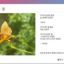 이루미 이미지