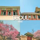 가평상색발전소 | 서울 가볼만한곳 창덕궁 방문자 여권 홍매화 빛 바람들이기 후기