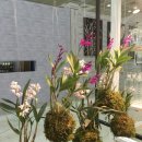 더폭스디자인 이미지