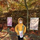 이모네세탁소 이미지