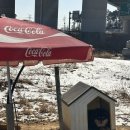 평택한우마을 | 평택 안중 맛집 숲마을왕갈비한우곰탕｜갈비도가니탕과 곰탕얼큰이 솔직후기