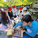 산본 하이무브 첫 야외요가 후기｜초막골에서 보낸 봄날의 시간과 기록