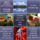 비키니짐 이미지