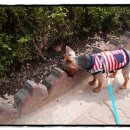 하트만동물병원 이미지