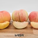 아지마트