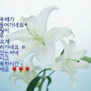 하루해 이미지