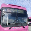 세종도시교통공사 이미지