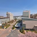 중앙대학교 이미지