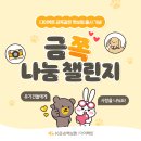 [KB손해보험다이렉트]스타벅스 500명 증정! 유기견을 위한 금쪽나눔챌린지 이미지