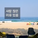 아침바다 콘도텔 | [강원 속초] 바다정원, 까리따스 성지 옆 바다 카페