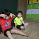 용인대 명성 태권도 이미지
