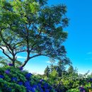 동광리-7 이미지