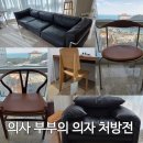 참사랑내과 | 🩺 [의자 처방전] 의사 부부가 의자와 소파에 집착하는 '의학적' 이유 (내과 vs 통증의학과)