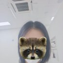 (주)가보개발 | 용인 뷰테르 두피문신 내돈내산 솔직후기