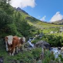 청명민박 이미지