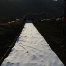 농업회사법인 (주) 지리산동의촌