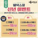 펠릭스짐 이미지