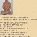 우담바라 이미지