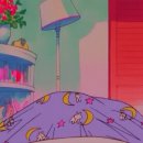 쁘띠하우스 이미지