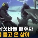 상어 입속 낚시바늘 빼주는 사람들 이미지