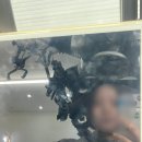 반함 | 강남 : 인스타 고데기펌 이은 부원장님 내돈내산 후기 [반함헤어 강남점]