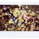 파리글라스 이미지