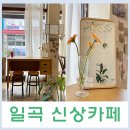 [광주 월곡동 카페]뚝방길 옆 코지누크