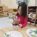 예일키즈어린이집 이미지