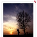 노을목장 이미지