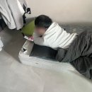 멍멍아 야옹해봐 | 설연휴 첫날 일상 [ 싸움짱의 하루 ]