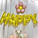 허니댕댕 네이버블로그