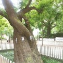 박앤이서울치과의원 이미지