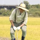 그린카펫 이미지