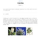 나무약품(주) 이미지