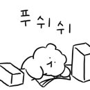 안경매니져 목포점 이미지