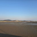 무안황토갯벌랜드 이미지