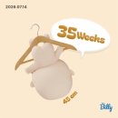 분당삼평-D-18 | 임신 35주 - 37주 D-10까지 | 임산부 호프 관람, 이름 자수 놓기, 강남구 산모 신생아 건강관리 지원...