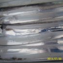 뉴 비너스 이미지