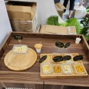 엘스토어(L.STORE)