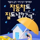 태풍태권스쿨 이미지