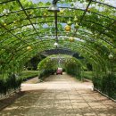 태양어린이집 이미지