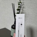 라셀 | 디라셀 NMN 안티에이징 크림 내돈내산 후기 | 노벨상 동안 크림 사용해본 솔직 리뷰